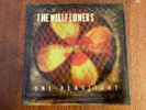 Wallflowers 'One Headlight' RARE 1997 UK 7