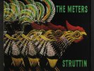 METERS: struttin' JOSIE 12