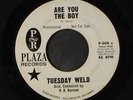 TUESDAY WELD: are you the boy / all through spring and summer PLAZA 7
