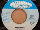 EARL SIXTEEN MALCOLM X / VERSION OG JAMAICAN WILDFLOWER 7