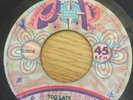 BLACK SUGAR - TOO LATE RARE LATIN NORTHERN SOUL 7” VINYL