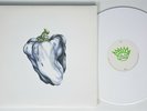 WEEN White Pepper PLAIN LP NM white vinyl ltd