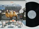 WILCO The Album NONESUCH LP NM gatefold