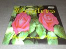 broilers - schenk mir eine blume - 7