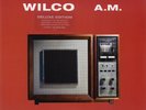 Wilco A.M. Vinyl 2LP Deluxe Edition 180 Gram Brand New Sealed