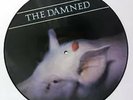 The DAMNED-Strawberries                              Rare PICTURE DISC