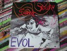 Sonic Youth - EVOL May 1986 UK Vinyl LP Record Blast First Press Porky Bilbo