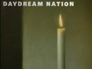 Sonic Youth Daydream Nation vinyl 2 LP NEW/SEALED