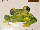 Silverchair - frogstomp Limited  Lime Green 2 Audiophile Vinyl LP 180 Gram NEU