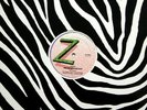 Country & Western ?– Reincarnation / Positive Energy Zebra Records Very Good Plu