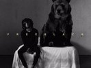 6LACK - FREE 6LACK (LP) - NEW SEALED VINYL  FREE SHIPPING