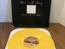 NEW FOUND GLORY- Nothing Gold Can Stay GOLD Vinyl FIRST PRESS 295/1000.