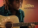 BOB MARLEY AND THE WAILERS - Songs Of Freedom: The Island Years - 6LP - 180g ...