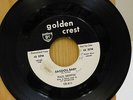 Paul Griffin rockabilly 45 Ragdoll Baby bw You Are The Rain on Golden Crest