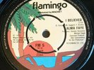 Alma Faye – Don't Fall In Love / I Believed. Northern Soul  7