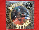 DIVINE STYLER WORD POWER 1989 *FIRST PRESSING LP RHYME $YNDICATE ICE TEA