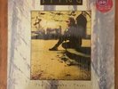 STING - TEN SUMMONER'S TALES - FIRST PRESS 1993 - VINYL LP - NEAR MINT IN SHRINK
