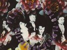 Flesh For Lulu Plastic Fantastic Europe Lp