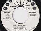 JAMES FOUNTAIN My Hair Is N ap-py NORTHERN SOUL 45 Burning Up For Your Love FUNK
