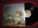 DANIEL BALAVOINE - 33 TOURS - 30 CM - COLLECTOR - TRES RARE - 1ER ALBUM STUDIO -