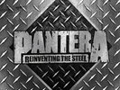 Pantera - Reinventing the Steel - New Sealed Silver Vinyl