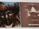 Jimi Hendrix 