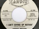 SONNY WILSON I Ain't Giving Up Nothin/Troubled Times ROCKABILLY PROMO 45 hear