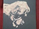 THE PIXIES - DEATH TO THE PIXIES, 10