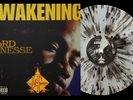 Lord Finesse The Awakening Exclusive VMP Club Black Gold Splatter Vinyl LP VGNM
