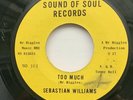 Sebastian Williams - To Much / Home Town Boy - Sound Of Soul - N / Soul / Mod
