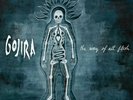 GOJIRA - The Way Of All Flesh 2 x LP - Black Vinyl Album NEW DEATH Metal Record