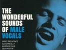 VARIOUS - The Wonderful Sounds Of Male Vocals - Vinyl (2xLP)