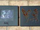 LP Vinyl * THE RUINS OF BEVERAST * Blood Vaults & Exuvia * Lavish Ltd.Edt.