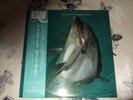 JOE LEE WILSON - HEY LOOK AT YOU JAPAN OBI PROMO LP