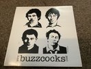 Buzzcocks WWW.Buzzcocks.COM. Double Ltd Ed LP Assorted Live Tracks Spatter Vinyl