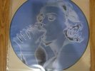 Madonna Erotica Picture Disc Vinyl