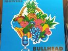 Melvins - Bullhead vinyl album,punk rock re issue LP album