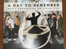 A Day To Remember What Separates Me From You Vinyl - Black