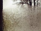 Bon Iver / For Emma Forever Ago (1LP)