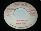BOBBY WADE FLAME IN MY HEART 7