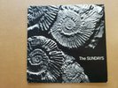 The Sundays Reading, Writing, And Arithmetic Picture Disc LP 1990 Used-NM