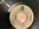 Blondie X Offender In The Sun Vinyl Usa mint Private Stock PS45 097