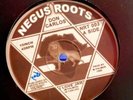 don carlos - I Love Jah  & I Don’t Care (NEGUS ROOTS ) 10’