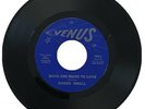 NORTHERN SOUL Karen Small 