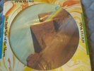 Pink Floyd Dark Side of the Moon 1978 Picture Disc Very rare UK Pyramids photo