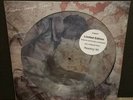 Stone Temple Pilots Sex Type Thing Limited Editon Uk Picture Disc Vinyl Record