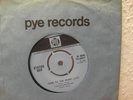 Status Quo. Tune to the music UK Pye 
