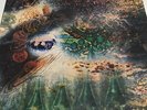 Pink Floyd : A Saucerful of Secrets