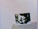 Fleetwood Mac - Tusk (Near Mint all round) 1979 UK DOUBLE.