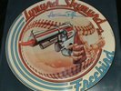 Lynyrd Skynyrd Picture Disc EP LP Freebird Artimus Pyle Signed